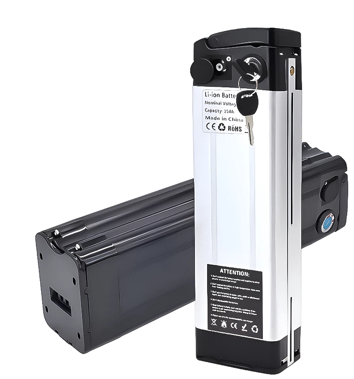 24V 36V 48V Silver Fish Elektrofahrradbatterie