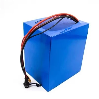 24v Electric Bike Battery Pack suppliers